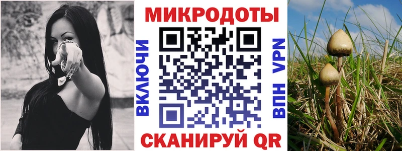 Галлюциногенные грибы Magic Shrooms  Луга 