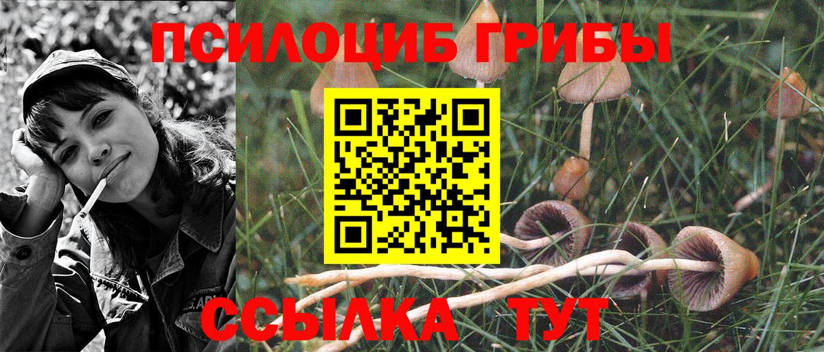 Псилоцибиновые грибы Psilocybe  Вход с VPN  Луга  дарнет шоп  Псилоцибиновые грибы MAGIC MUSHROOMS 